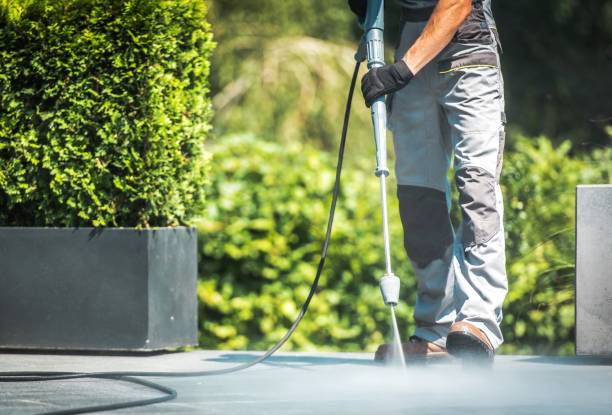 Best Rust Removal  in Loyola, CA