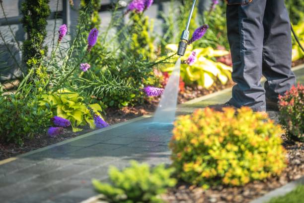 Winterizing Services in Loyola, CA