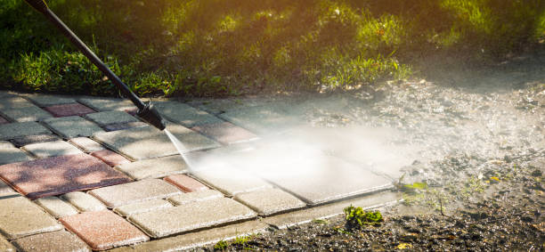 Best Driveway Pressure Washing  in Loyola, CA