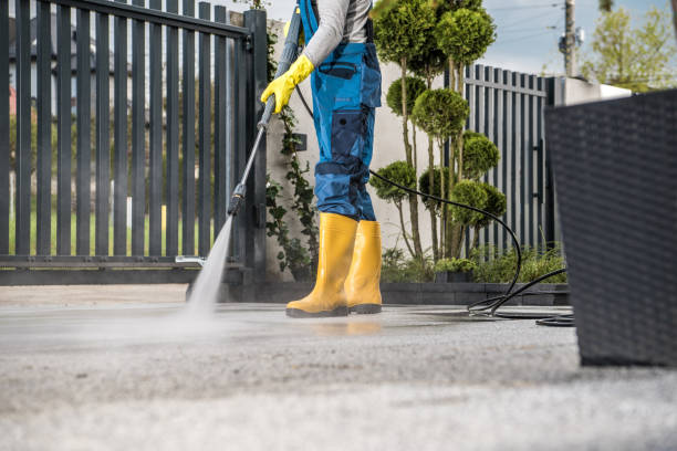 Best Gutter Cleaning  in Loyola, CA